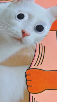 Image 3 of 'Gut Felines'