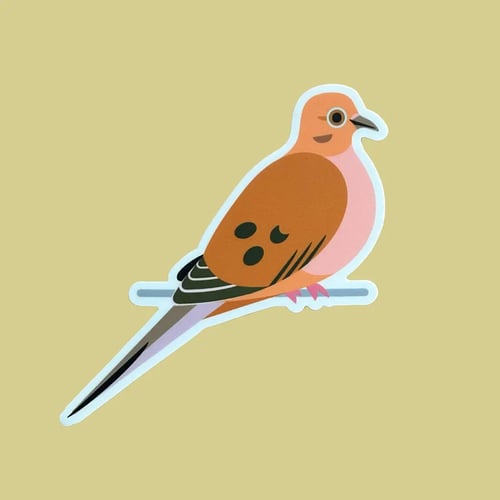 Image of Mourning Dove Sticker