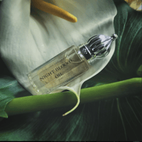 Image 1 of Night Bloom fragrance Oil