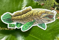 Bowfin Sticker