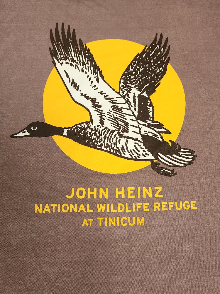 Image of John Heinz Wildlife Refuge T