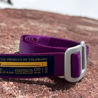 Image 1 of Hiker Belt : Purple