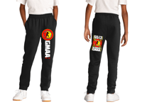 PC78YJ Youth Fleece Joggers