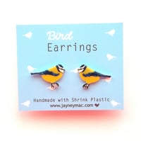 Blue Tit Bird Shrink Plastic Earrings