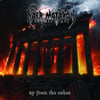 NAER MATARON - Up from the Ashes [CD]