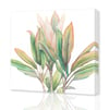 Ti Plant Giclee Print