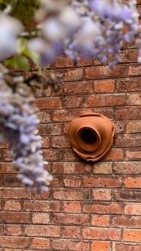 Image 1 of A partir de Oyas