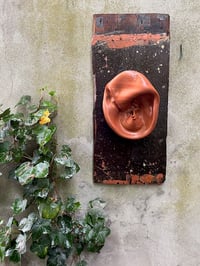 Image 1 of Oyas et sa planche