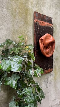 Image 2 of Oyas et sa planche