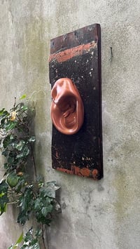 Image 3 of Oyas et sa planche