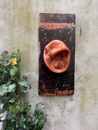 Image 5 of Oyas et sa planche