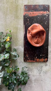 Image 4 of Oyas et sa planche