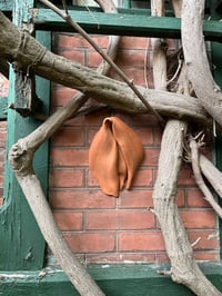 Image 1 of Grande partie d'Oyas