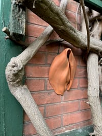 Image 3 of Grande partie d'Oyas