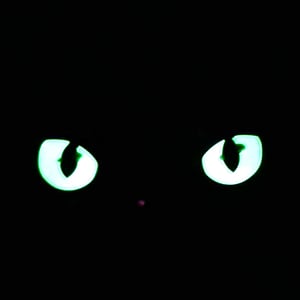 Image of Green Eyed Monster Ranger Eyes