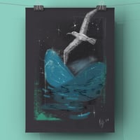 Image 1 of Night, Albatross 