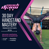 BEGINNERS HANDSTAND GUIDE