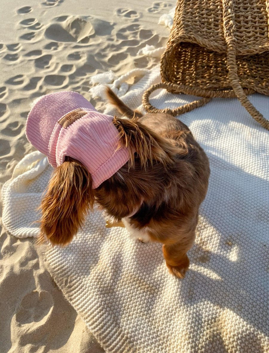 Image of Baby Pink Corduroy Pet Hat