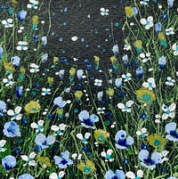 Image 1 of 'Midnight Meadow'