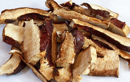 WILD MEDICINAL MUSHROOMS: Lion's Mane-Chaga-Turkey Tail-Maitake-Cordyceps (Himalayan Viagra). DNA.