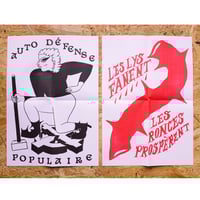 Image 5 of Si les nuages brunissent