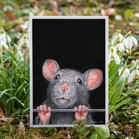 Image 1 of Stop Animal Testing, Mouse | Postcard