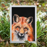 Image 1 of Fox | Postcard