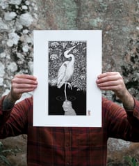 Image 2 of Blue Heron · Print