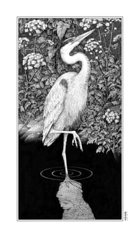 Image 1 of Blue Heron · Print