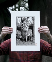 Image 2 of  The Warrior · Print