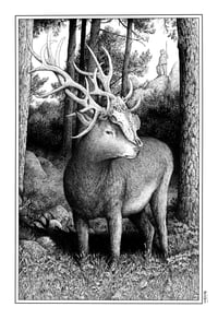 Image 1 of  The Warrior · Print