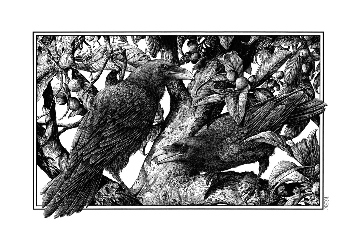 Crows Print Ze Burnay Crows print ze burnay