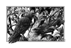  Crows · Print
