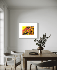 Image 3 of AUTUMN BOUNTY(18X24)