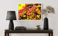 Image 4 of AUTUMN BOUNTY(18X24)