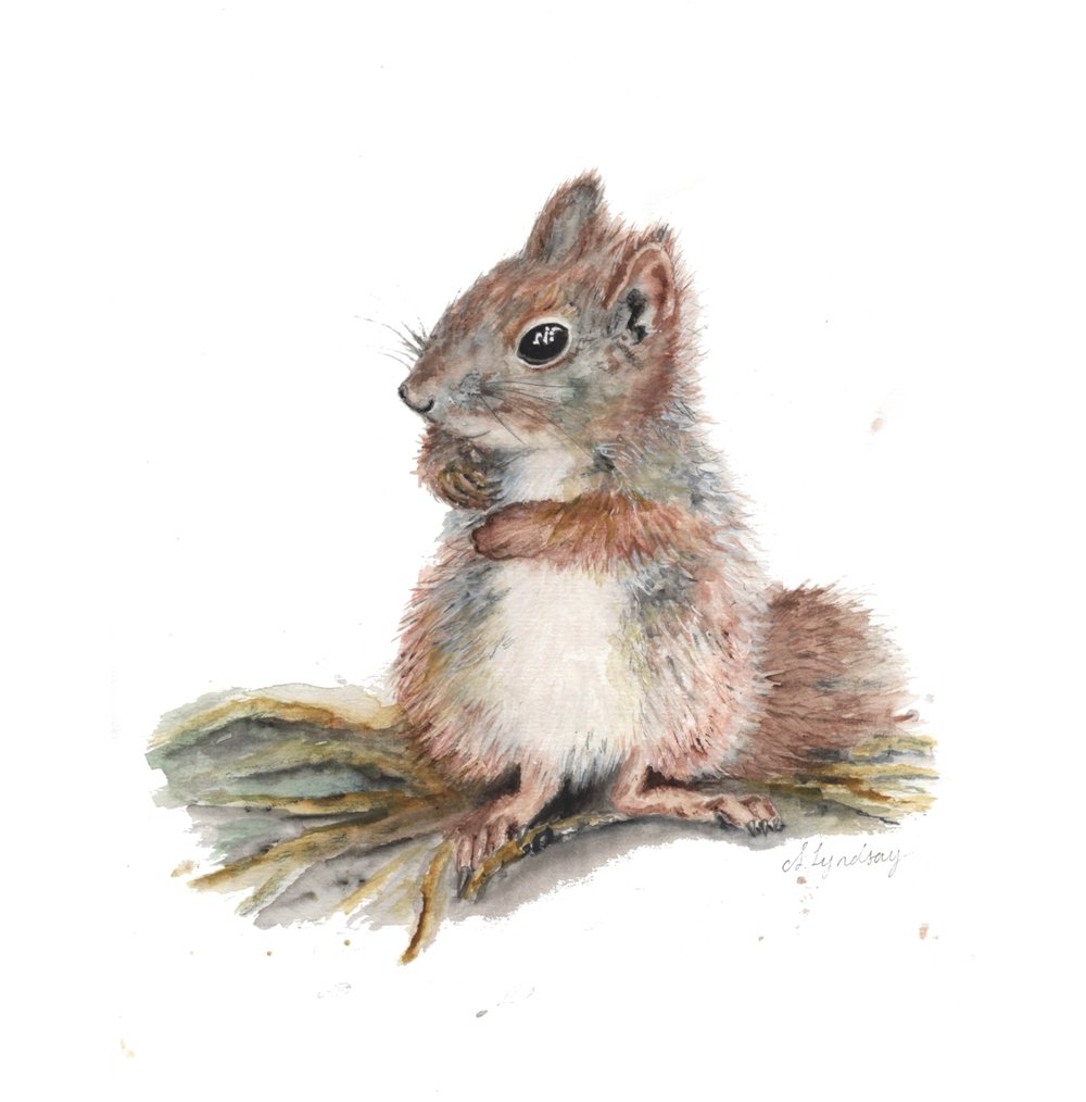 Image of I know I hid them somewhere really safe - A4 Original