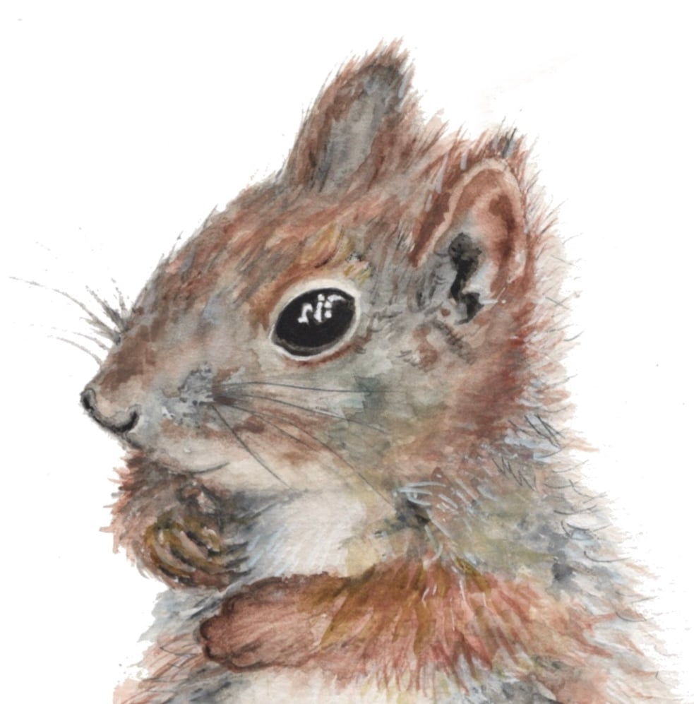 Image of I know I hid them somewhere really safe - A4 Original