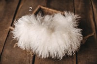 Image 3 of Fur