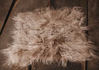 Image 6 of Fur