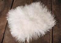 Image 7 of Fur