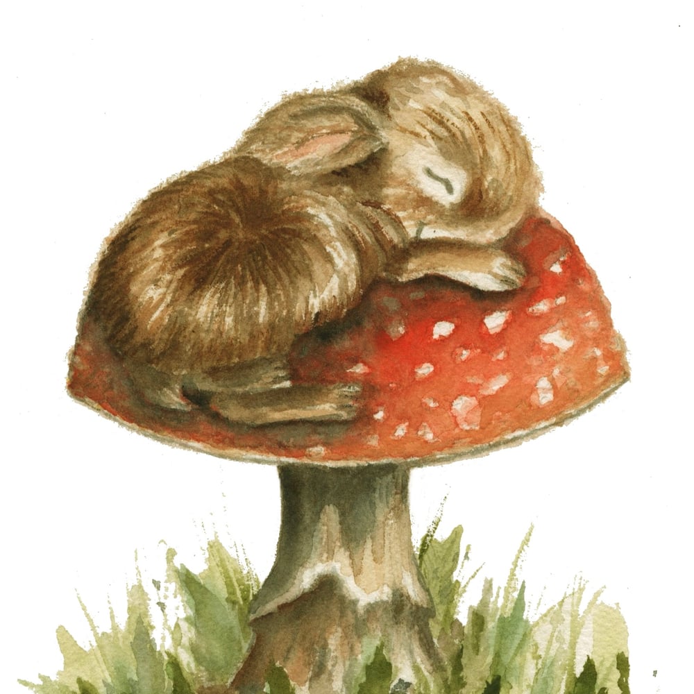 Image of Sleeping Toadstool Bunny - Original A4