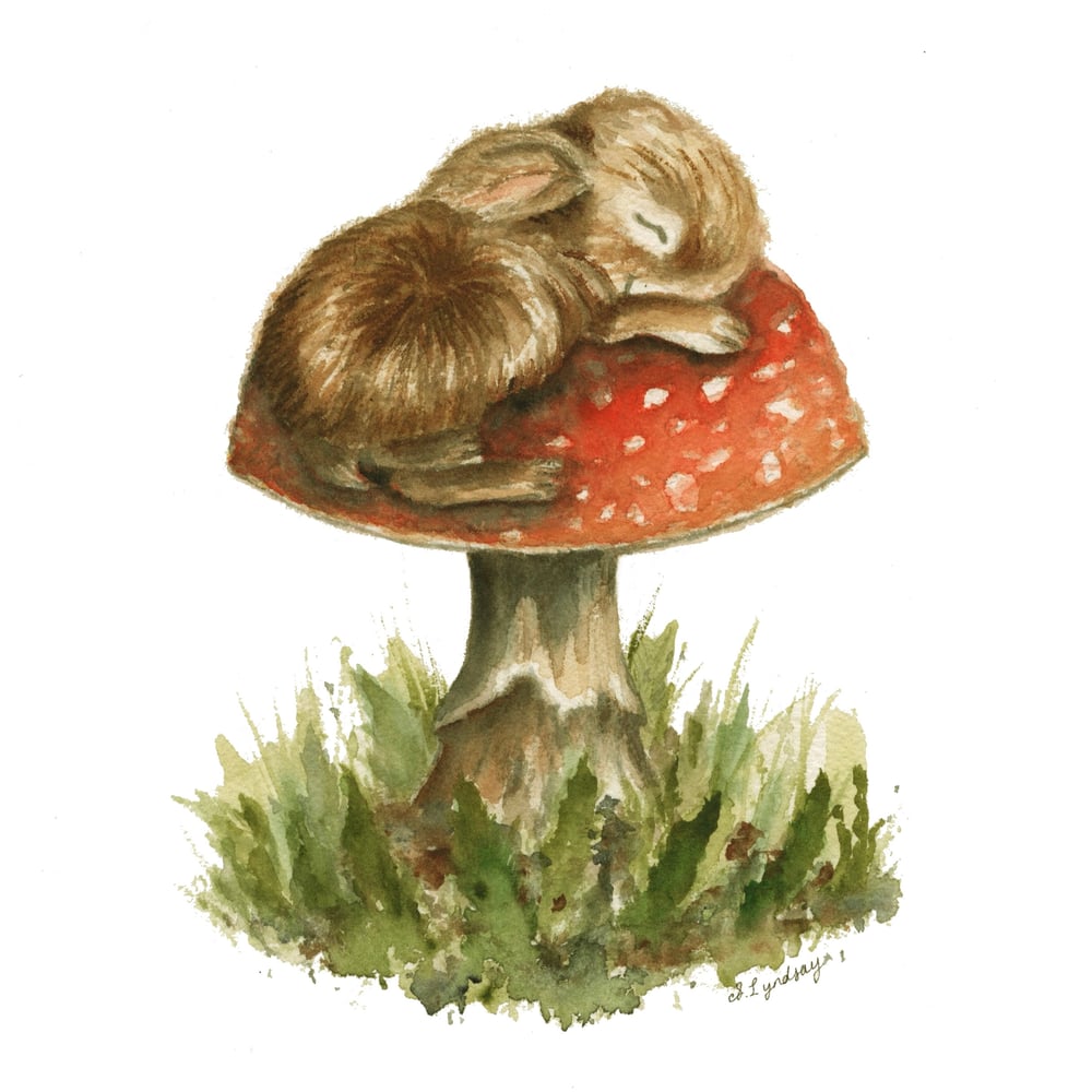 Image of Sleeping Toadstool Bunny - Prints