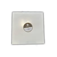 Gray Vinyl (Test Pressing)