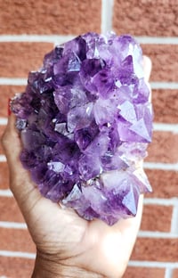Image 6 of Amethyst Clusters 