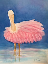 Rosie the Dancing Spoonbill 