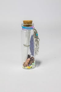Image 5 of Shaman Dreaming - Message in a Bottle