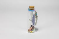 Image 6 of Shaman Dreaming - Message in a Bottle
