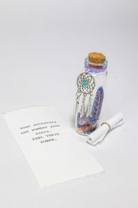 Image 10 of Shaman Dreaming - Message in a Bottle