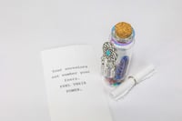 Image 12 of Shaman Dreaming - Message in a Bottle