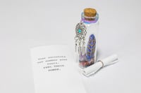 Image 13 of Shaman Dreaming - Message in a Bottle